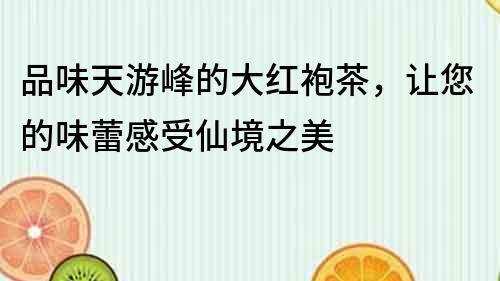 品味天游峰的大紅袍茶，讓您的味蕾感受仙境之美