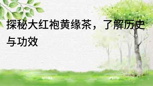 探秘大紅袍黃緣茶，了解歷史與功效