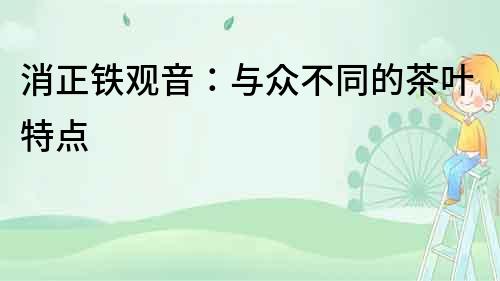消正鐵觀音：與眾不同的茶葉特點