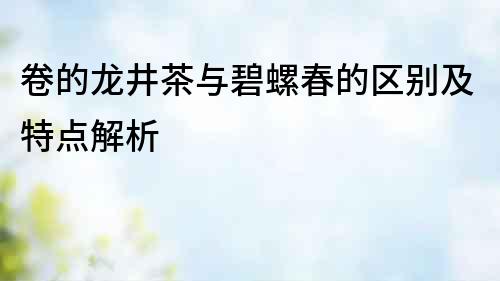 卷的龍井茶與碧螺春的區別及特點解析