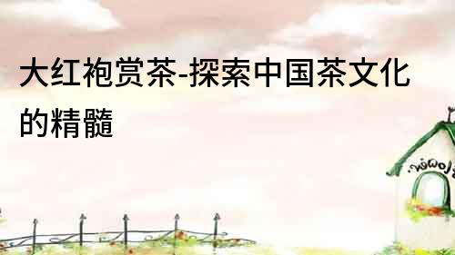 大紅袍賞茶-探索中國(guó)茶文化的精髓