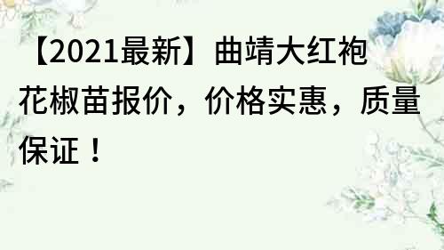 【2021最新】曲靖大紅袍花椒苗報價，價格實惠，質量保證！