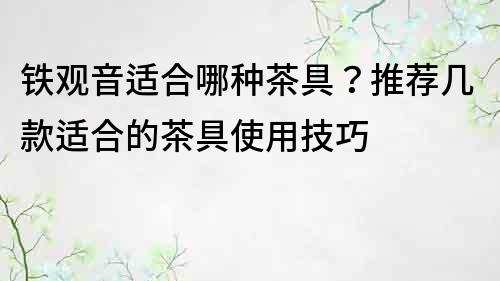 鐵觀音適合哪種茶具？推薦幾款適合的茶具使用技巧
