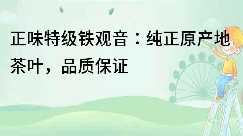 正味特級鐵觀音：純正原產地茶葉，品質保證