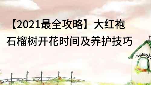 【2021最全攻略】大紅袍石榴樹開花時間及養(yǎng)護(hù)技巧