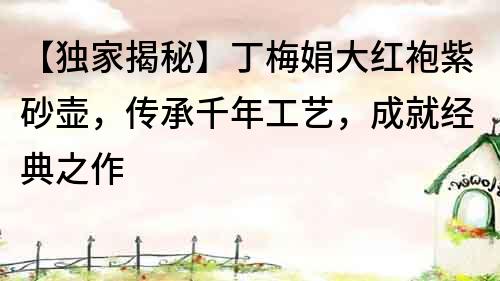 【獨(dú)家揭秘】丁梅娟大紅袍紫砂壺，傳承千年工藝，成就經(jīng)典之作