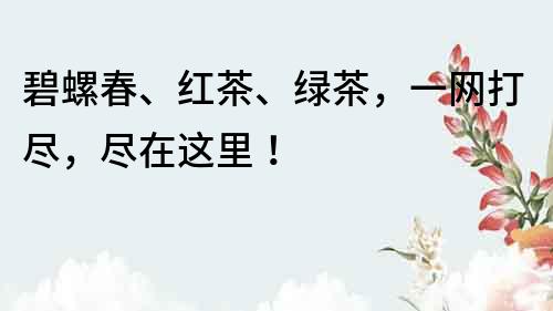 碧螺春、紅茶、綠茶，一網打盡，盡在這里！