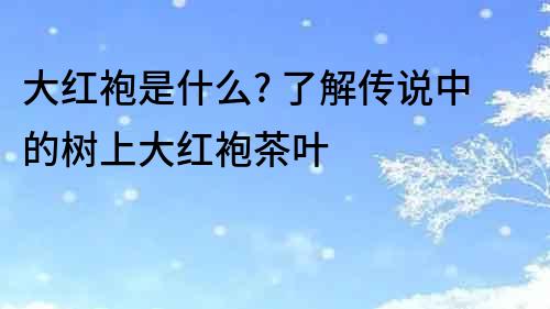 大紅袍是什么? 了解傳說中的樹上大紅袍茶葉