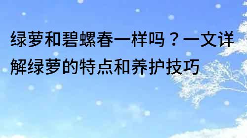 綠蘿和碧螺春一樣嗎？一文詳解綠蘿的特點和養護技巧