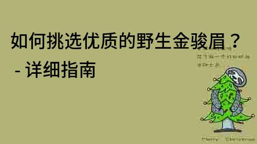 如何挑選優(yōu)質(zhì)的野生金駿眉？ - 詳細指南