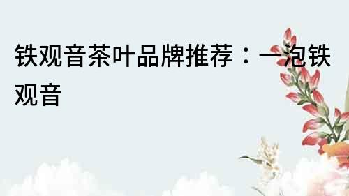 鐵觀音茶葉品牌推薦：一泡鐵觀音