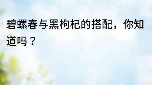 碧螺春與黑枸杞的搭配，你知道嗎？