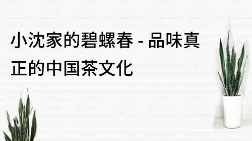 小沈家的碧螺春 - 品味真正的中國茶文化