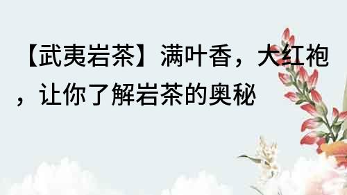 【武夷巖茶】滿葉香，大紅袍，讓你了解巖茶的奧秘