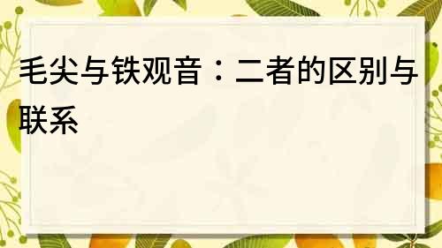 毛尖與鐵觀音：二者的區別與聯系