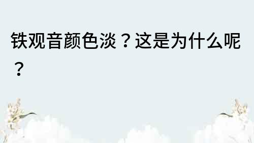 鐵觀音顏色淡？這是為什么呢？