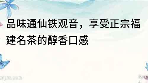 品味通仙鐵觀音，享受正宗福建名茶的醇香口感