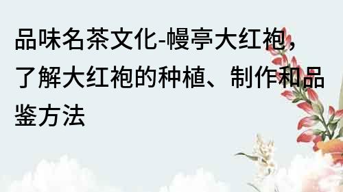 品味名茶文化-幔亭大紅袍，了解大紅袍的種植、制作和品鑒方法