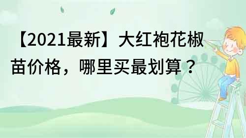 【2021最新】大紅袍花椒苗價格，哪里買最劃算？