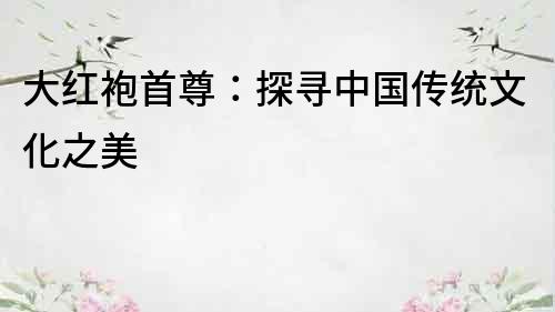 大紅袍首尊：探尋中國(guó)傳統(tǒng)文化之美