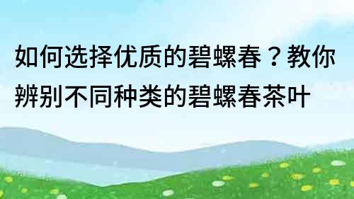 如何選擇優(yōu)質(zhì)的碧螺春？教你辨別不同種類的碧螺春茶葉