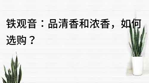 鐵觀音：品清香和濃香，如何選購？