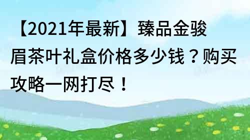 【2021年最新】臻品金駿眉茶葉禮盒價格多少錢?購買攻略一網打盡!