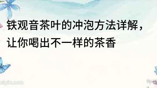 鐵觀音茶葉的沖泡方法詳解，讓你喝出不一樣的茶香