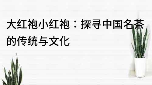 大紅袍小紅袍：探尋中國名茶的傳統與文化