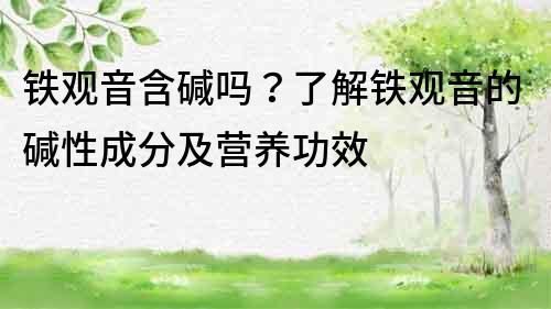 鐵觀音含堿嗎？了解鐵觀音的堿性成分及營養(yǎng)功效