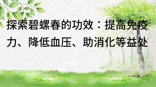 探索碧螺春的功效：提高免疫力、降低血壓、助消化等益處
