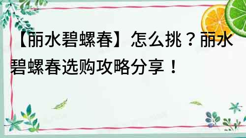 【麗水碧螺春】怎么挑？麗水碧螺春選購攻略分享！