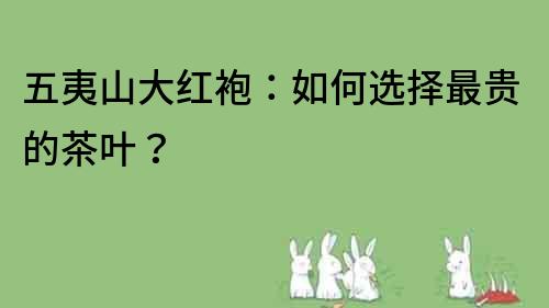 五夷山大紅袍：如何選擇最貴的茶葉？