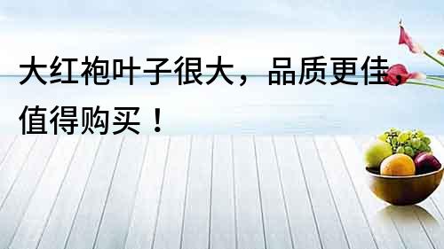大紅袍葉子很大，品質更佳，值得購買！