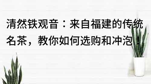 清然鐵觀音：來自福建的傳統名茶，教你如何選購和沖泡！