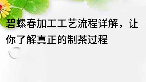碧螺春加工工藝流程詳解，讓你了解真正的制茶過程