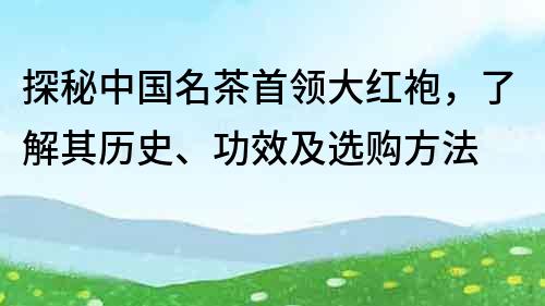 探秘中國名茶首領大紅袍，了解其歷史、功效及選購方法