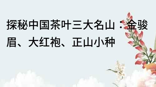 探秘中國茶葉三大名山：金駿眉、大紅袍、正山小種