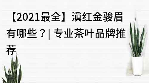 【2022最全】滇紅金駿眉有哪些？| 專業茶葉品牌推薦
