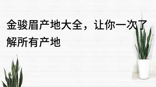 金駿眉產地大全，讓你一次了解所有產地