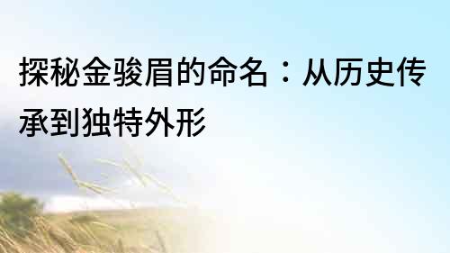 探秘金駿眉的命名：從歷史傳承到獨(dú)特外形