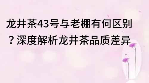 龍井茶43號與老棚有何區(qū)別？深度解析龍井茶品質(zhì)差異
