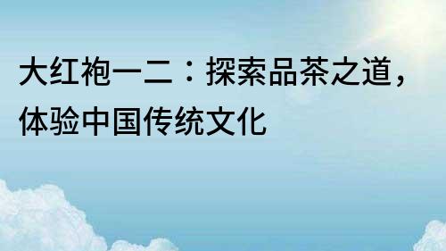 大紅袍一二：探索品茶之道，體驗中國傳統(tǒng)文化