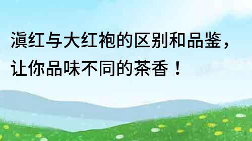 滇紅與大紅袍的區(qū)別和品鑒，讓你品味不同的茶香！
