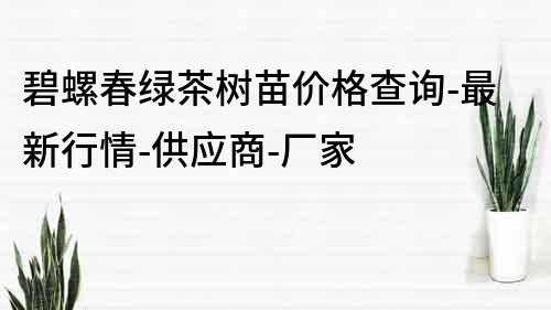 碧螺春綠茶樹苗價格查詢-最新行情-供應(yīng)商-廠家