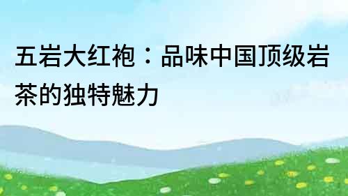 五巖大紅袍：品味中國頂級巖茶的獨特魅力