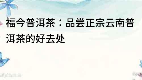 福今普洱茶：品嘗正宗云南普洱茶的好去處