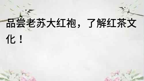 品嘗老蘇大紅袍，了解紅茶文化！