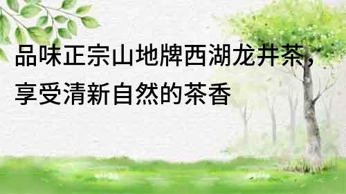 品味正宗山地牌西湖龍井茶，享受清新自然的茶香