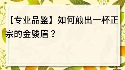 【專業品鑒】如何煎出一杯正宗的金駿眉？